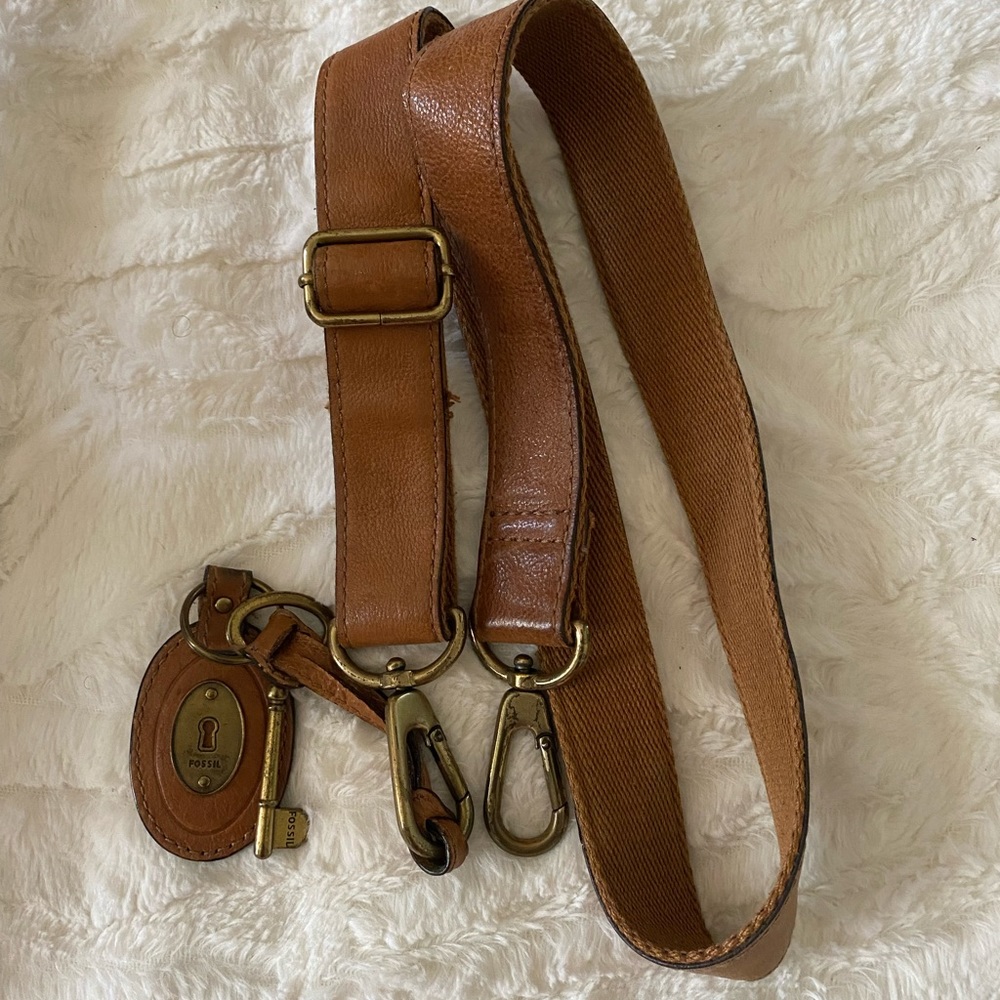 Fossil strap